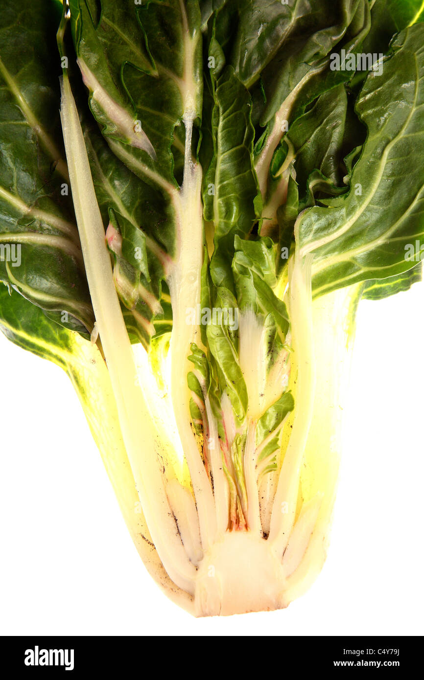 Vegetable, romaine lettuce. Stock Photo