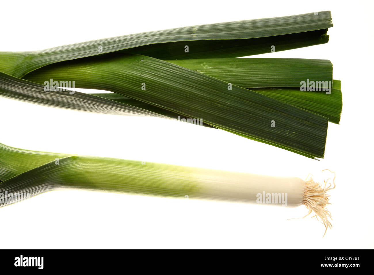 9.189 fotos de stock e banco de imagens de Leek Vegetable - Getty