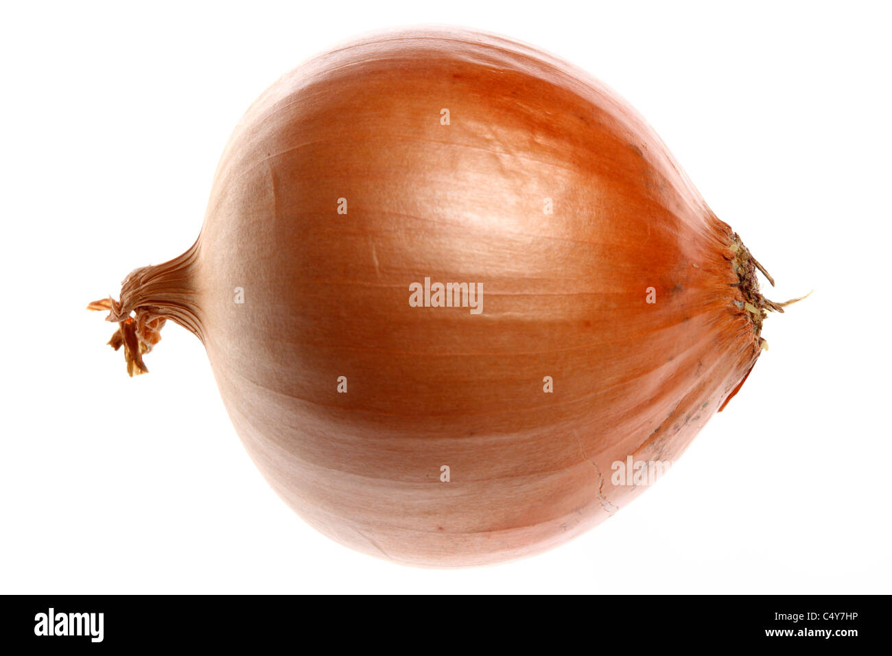 Vegetable, onion, garden onion, Stock Photo