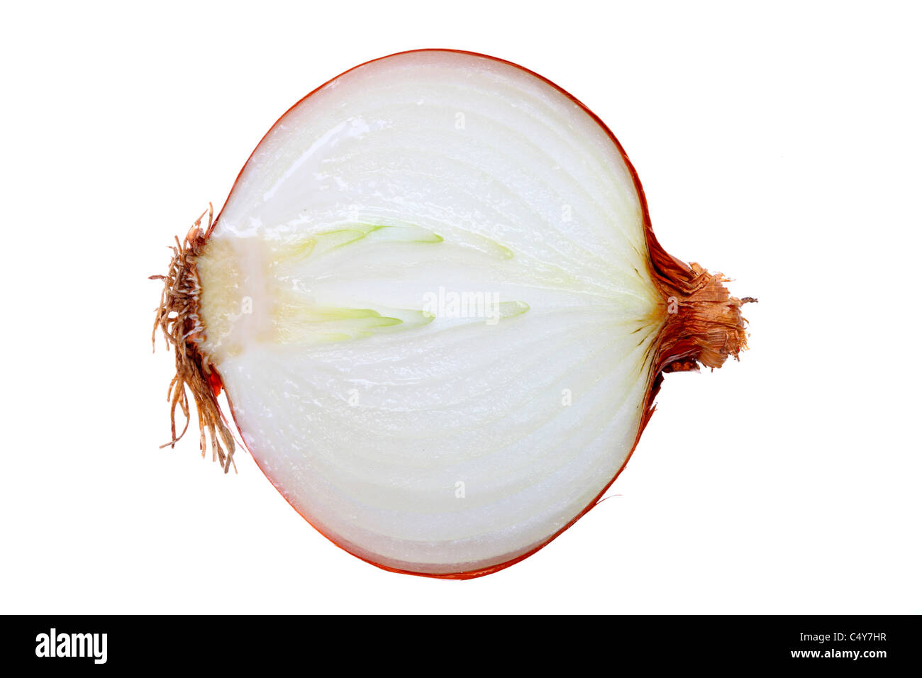 Vegetable, onion, garden onion, Stock Photo