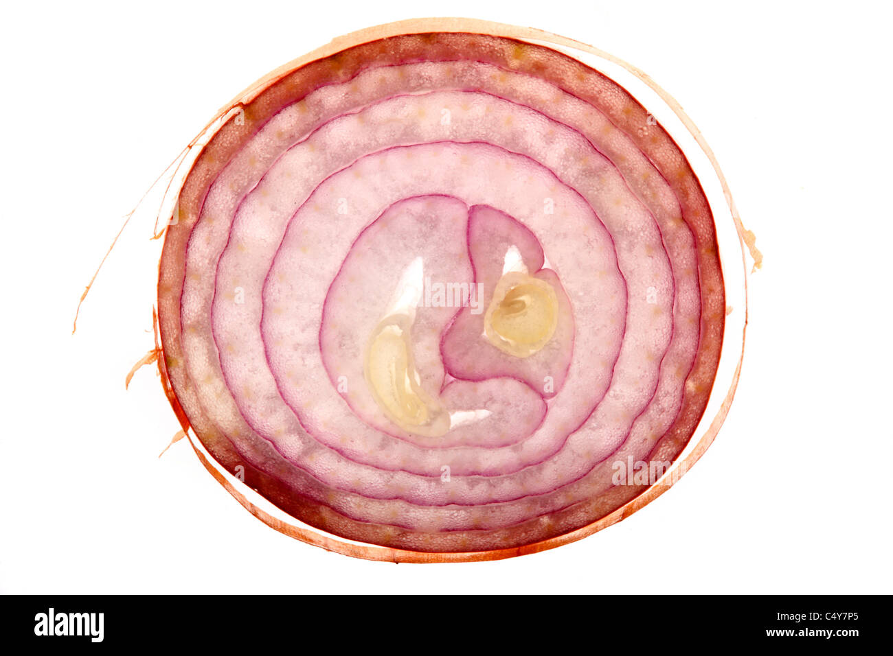 Vegetable, onion, shallot, scallions. Stock Photo