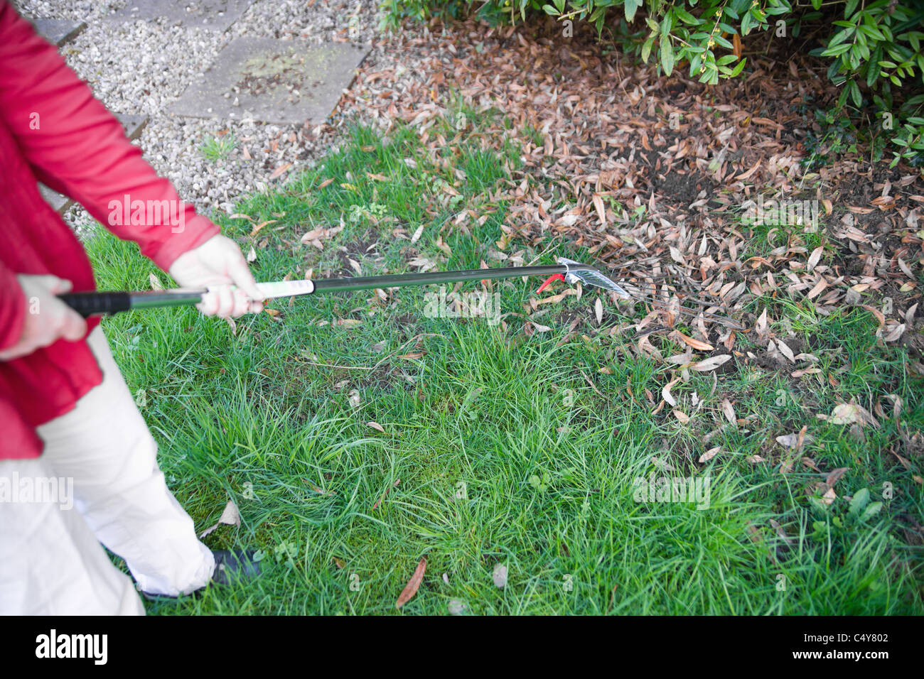 rake raking leaves lawn Stock Photo - Alamy