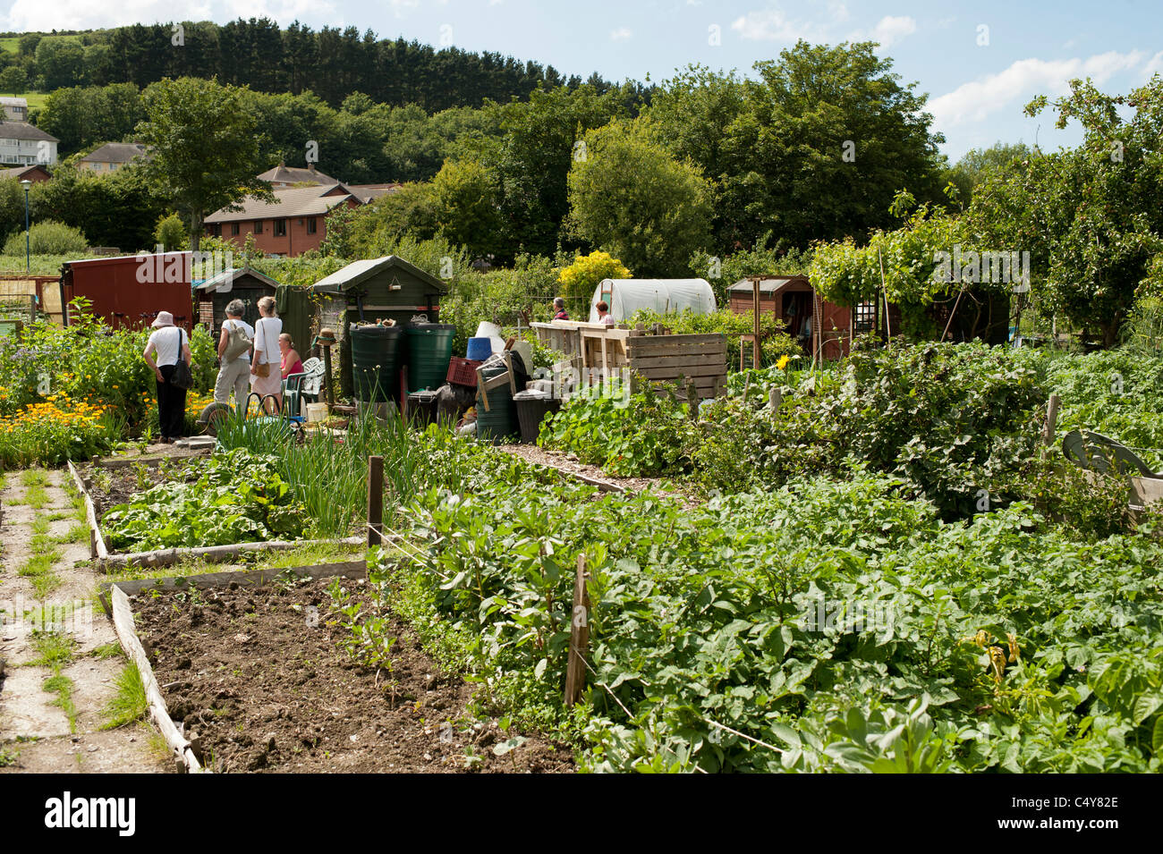 Uk allotment gardens hires stock photography and images Alamy
