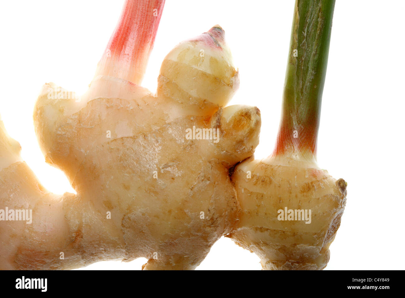 Vegetable, fresh ginger root. Stock Photo