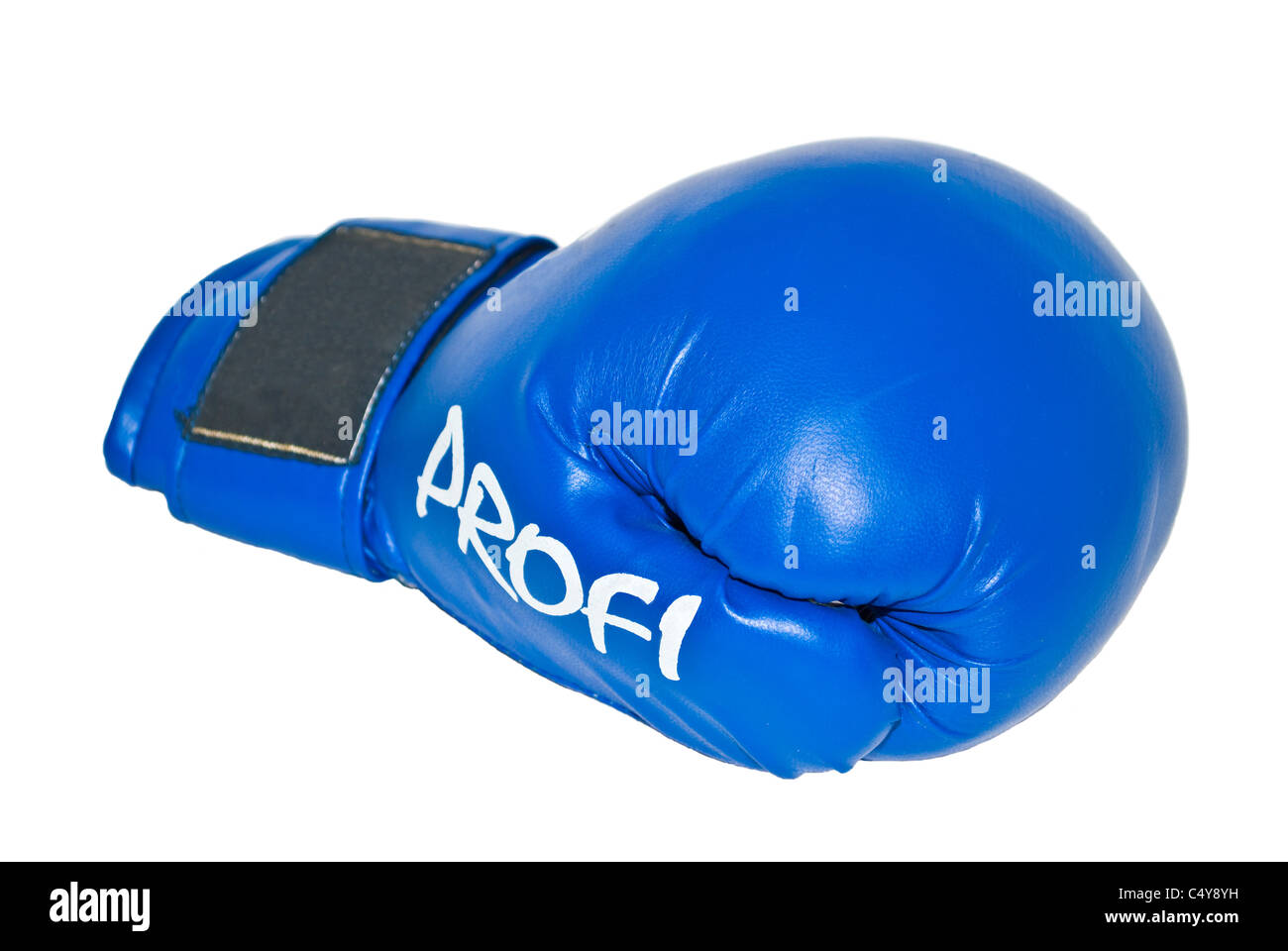 Blue Pine Pineapple Print Boxing Gloves