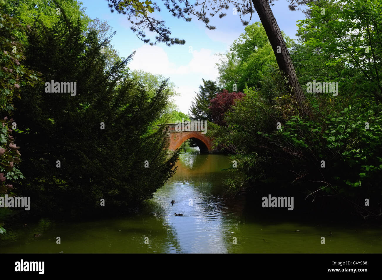 cannon hill park edgebaston birmingham Stock Photo Alamy
