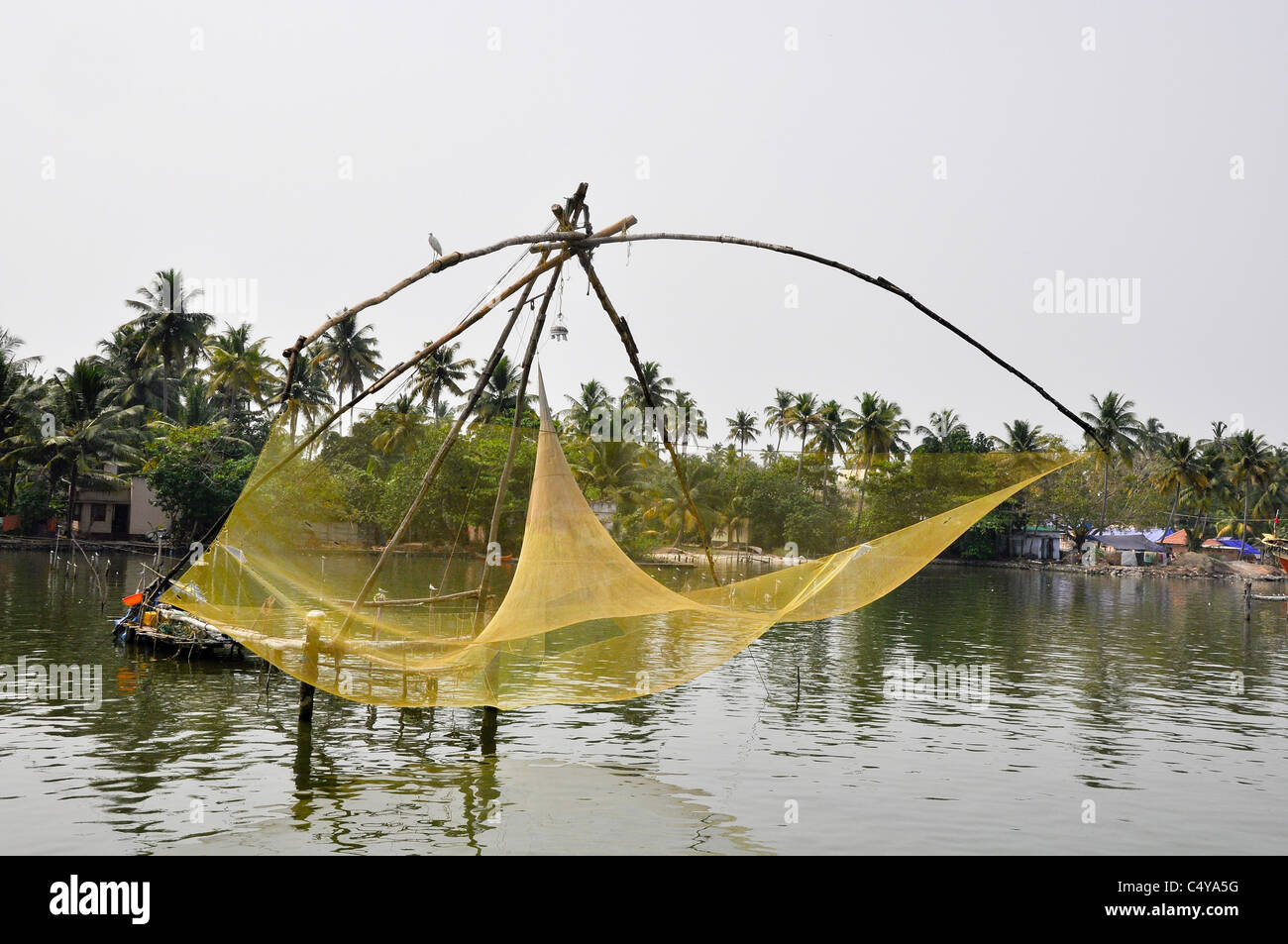 India, Kerala backwaters, Traditional fishing technique Stock Photo Alamy