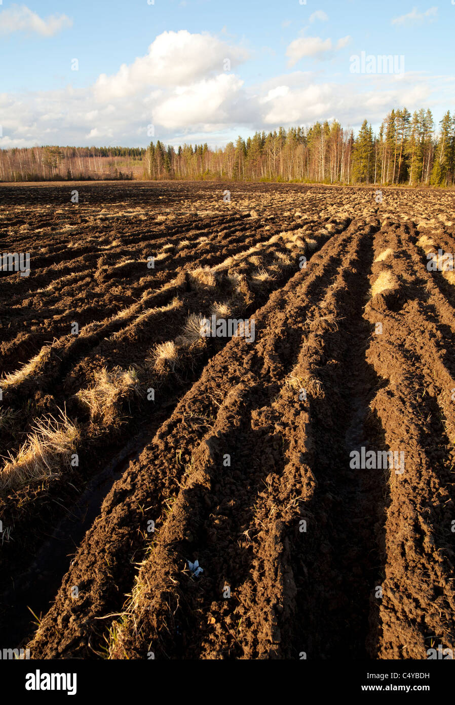 Plowed field at Spring , Finland Stock Photo