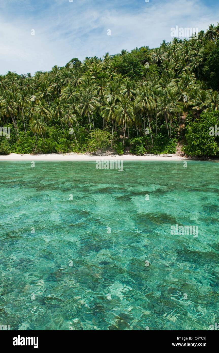 beautiful beach and water near Sipadan Island, Borneo, Malaysia Stock Photo