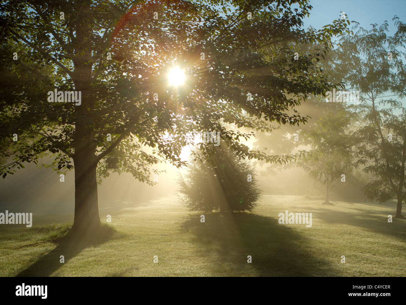 foggy morning on a bright blue sky summer day Stock Photo