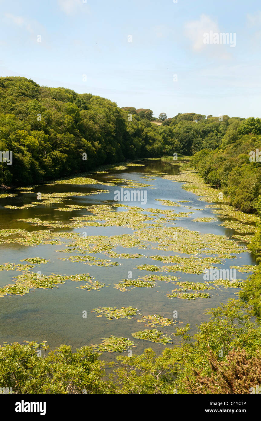Llynnoedd hi-res stock photography and images - Alamy