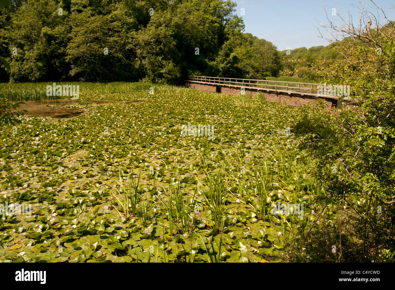 Llynnoedd hi-res stock photography and images - Alamy