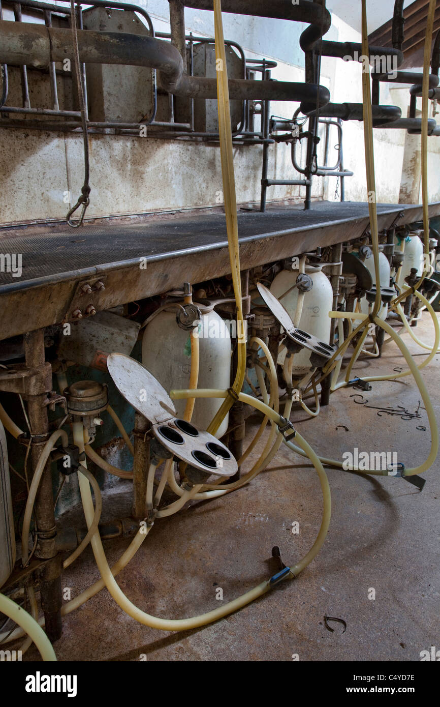 Empty closed milking parlor on dairy farm, Oxfordshire, England Stock Photo