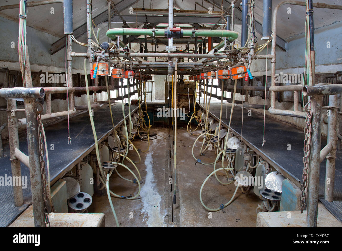 Empty closed milking parlor on dairy farm, Oxfordshire, England Stock Photo