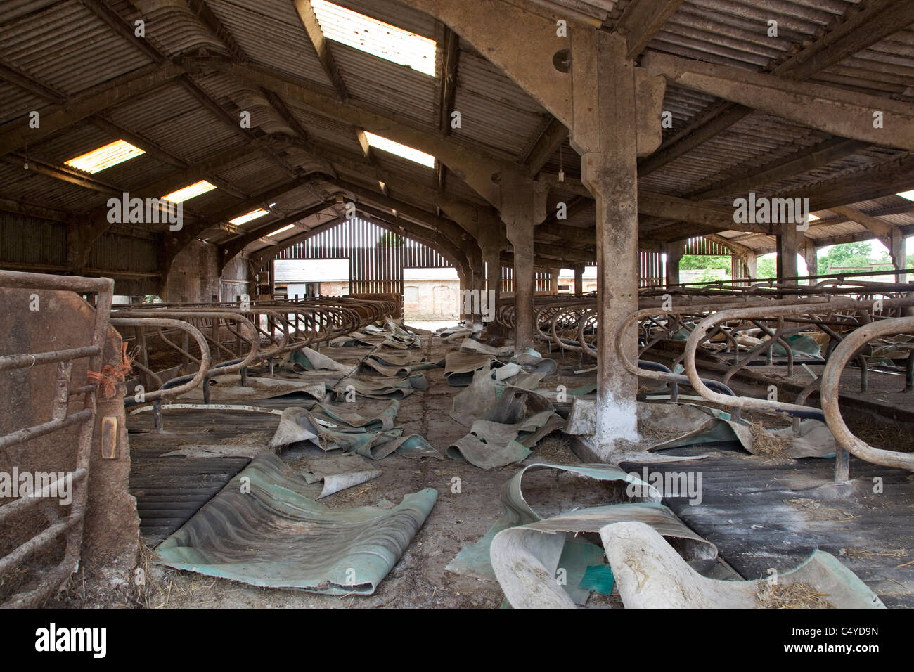 Empty cow feeding sheds at closed dairy farm,england Stock Photo