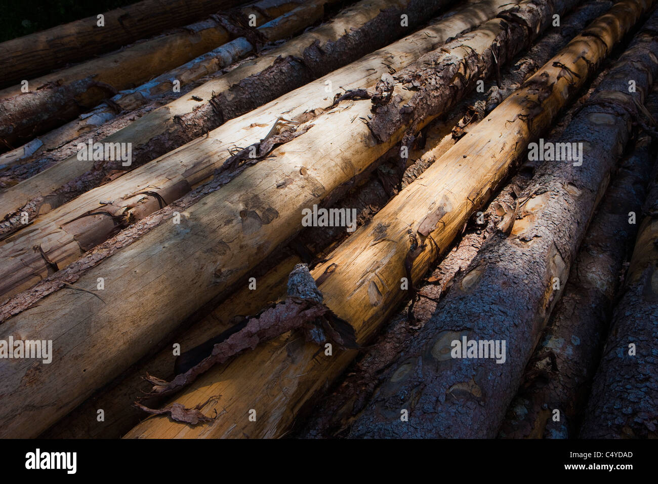 Old wood stacked together with a small shine of warmth Stock Photo