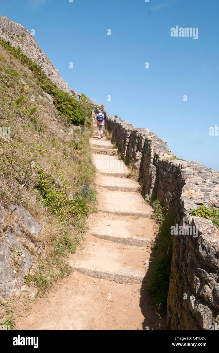 Barafundle Beach High Resolution Stock Photography and Images - Alamy