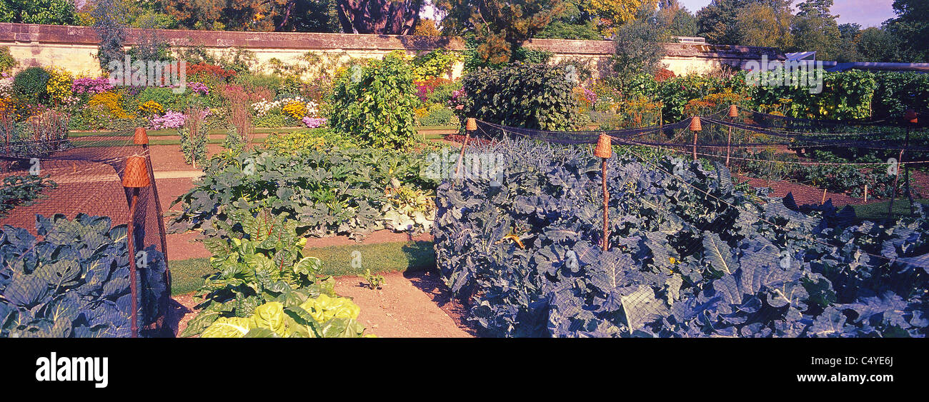 A general panoramic view of plants and flowers in the University of Oxford Botanic Gardens Stock Photo