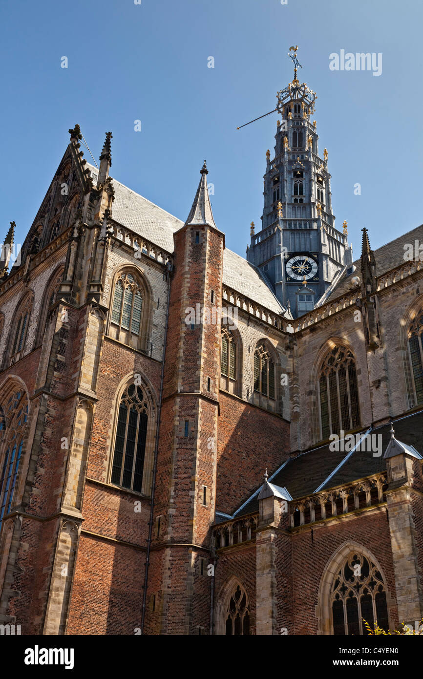 Sint Bavo Kerk Haarlem Sint-Bavokerk, St Bavo Church, or Grote Kerk, Protestant church in