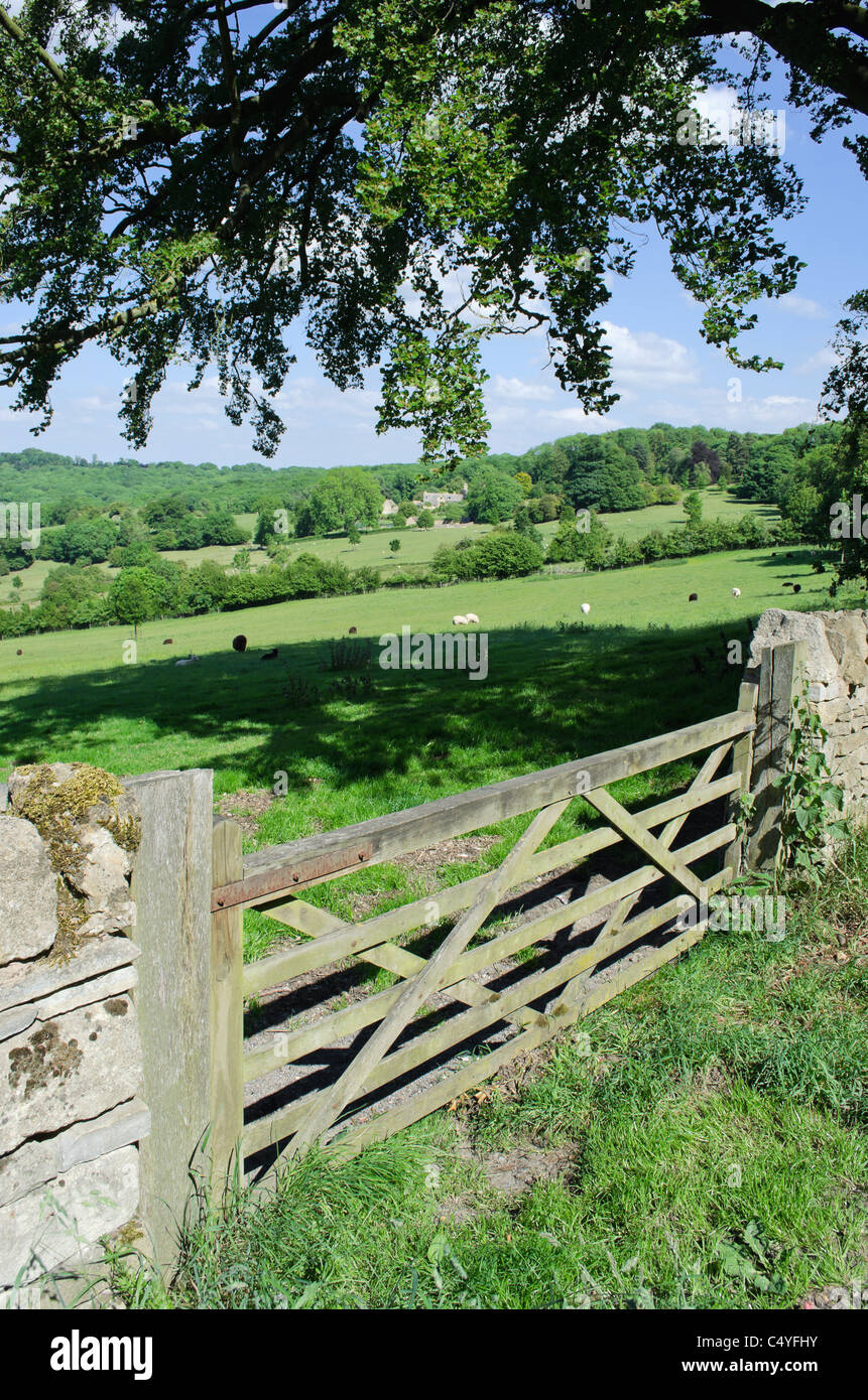 sheep farm saintbury cotswolds cotswold gloucestershire gate Stock Photo