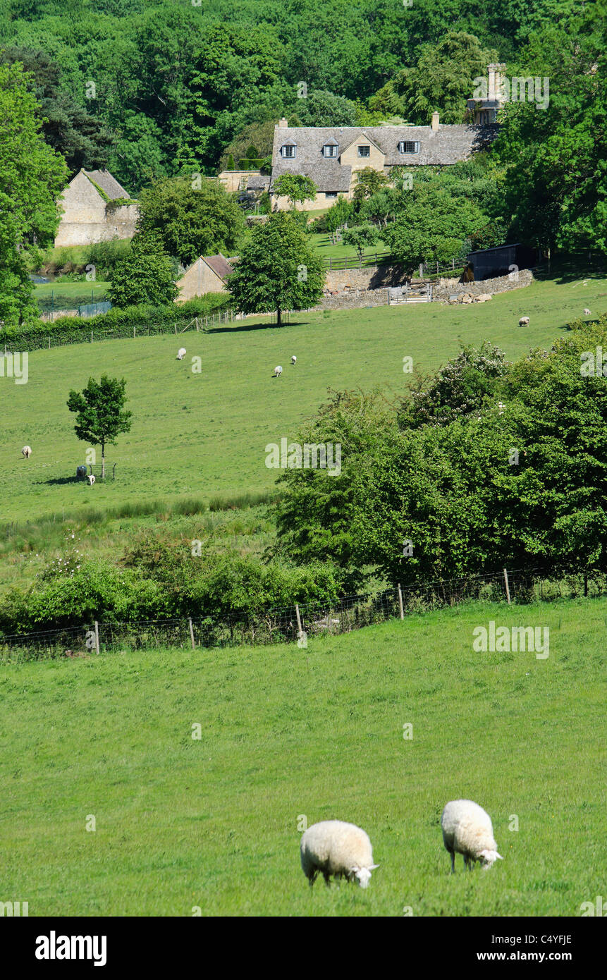 cotswold landscape saintbury glocestershire Stock Photo