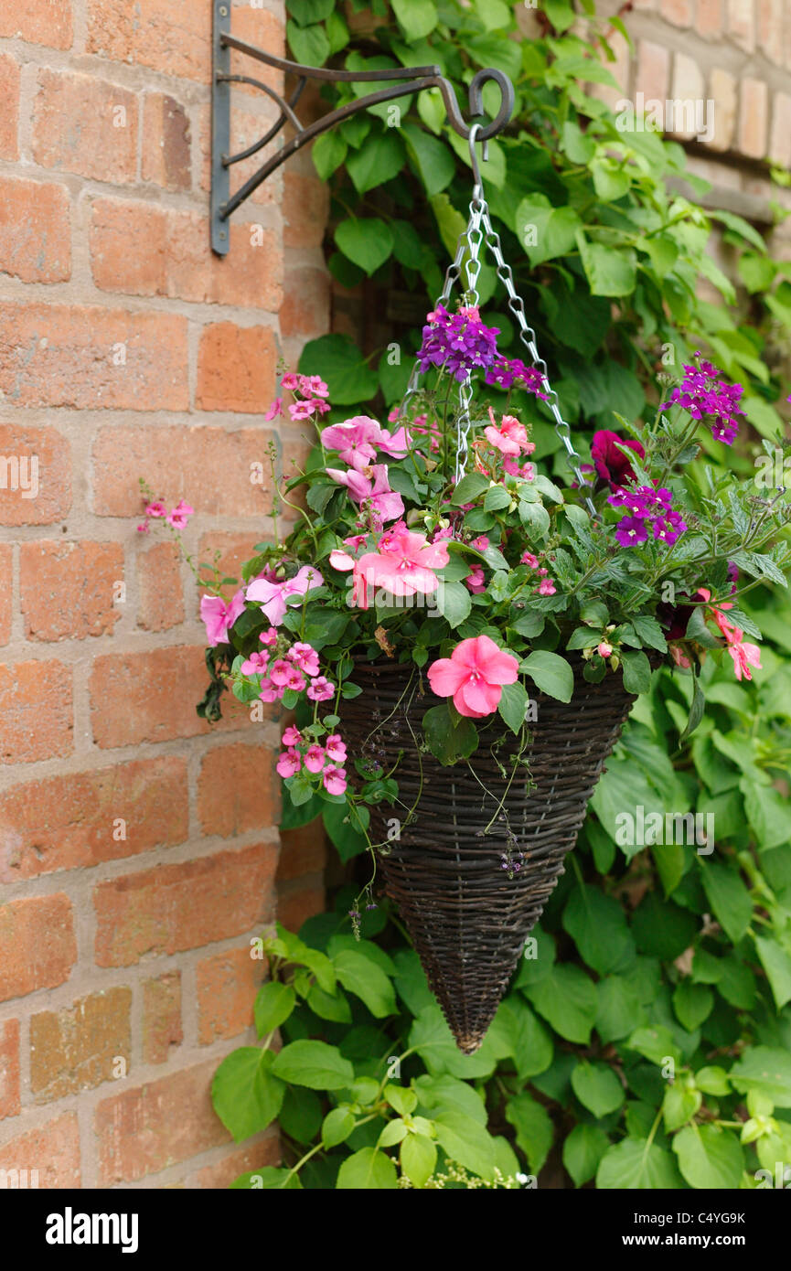 garden centre plants flowers for sale Stock Photo Alamy