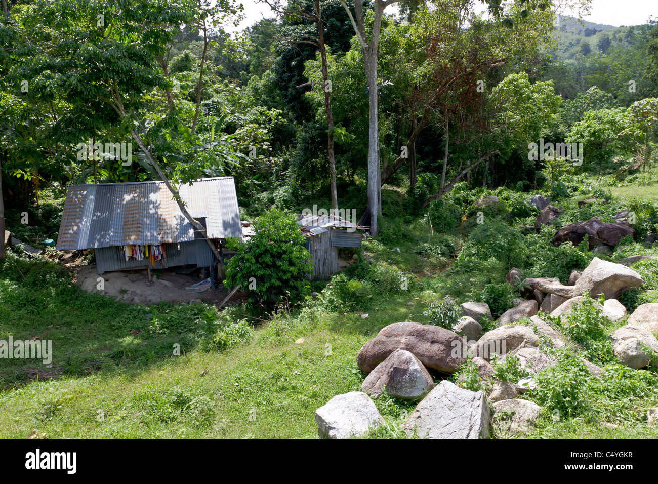 Shanty home in Phuket Thailand Stock Photo Alamy