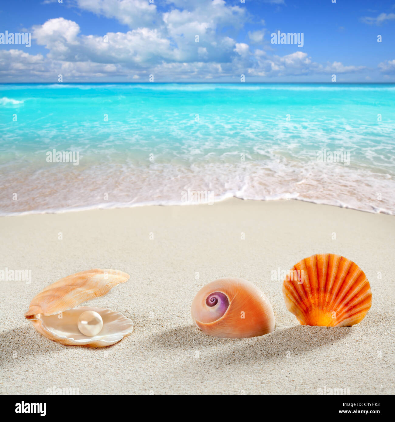 beach summer vacation background shell pearl clam snail tropical symbol Stock Photo