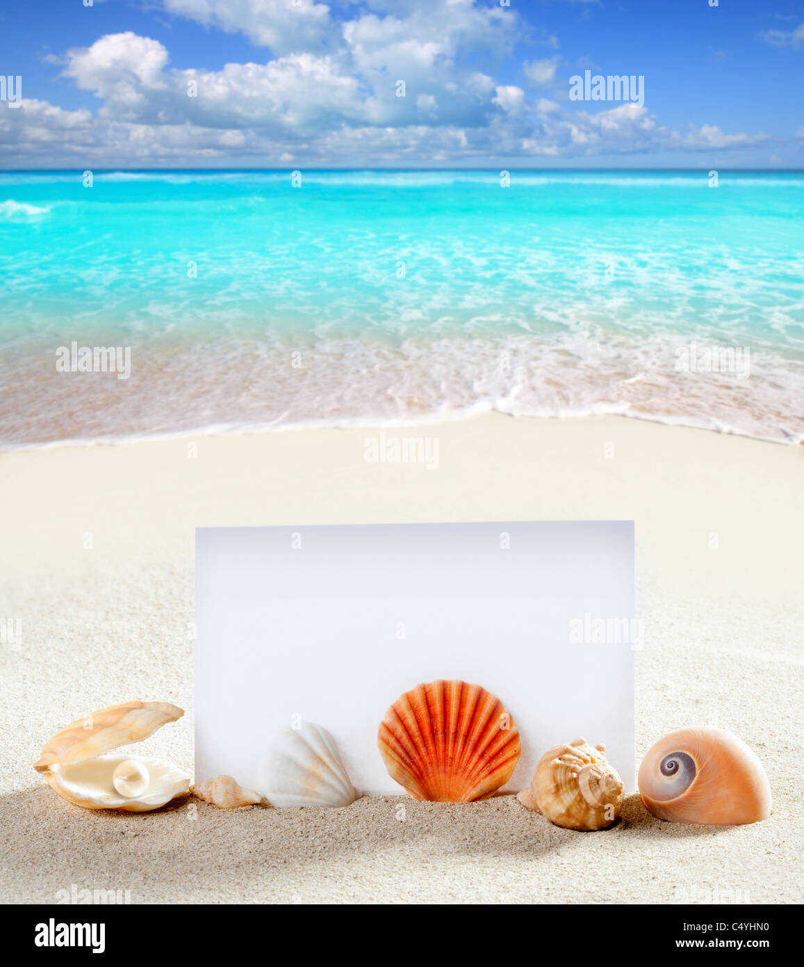 Vacation at the beach essay