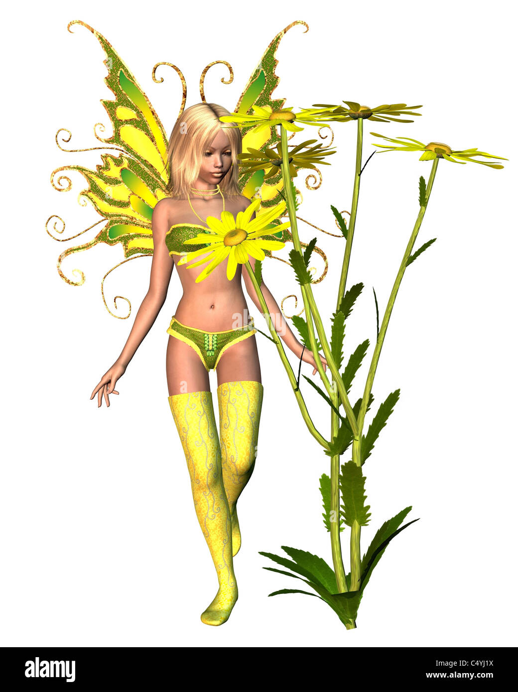 Summer Corn Marigold Fairy Stock Photo