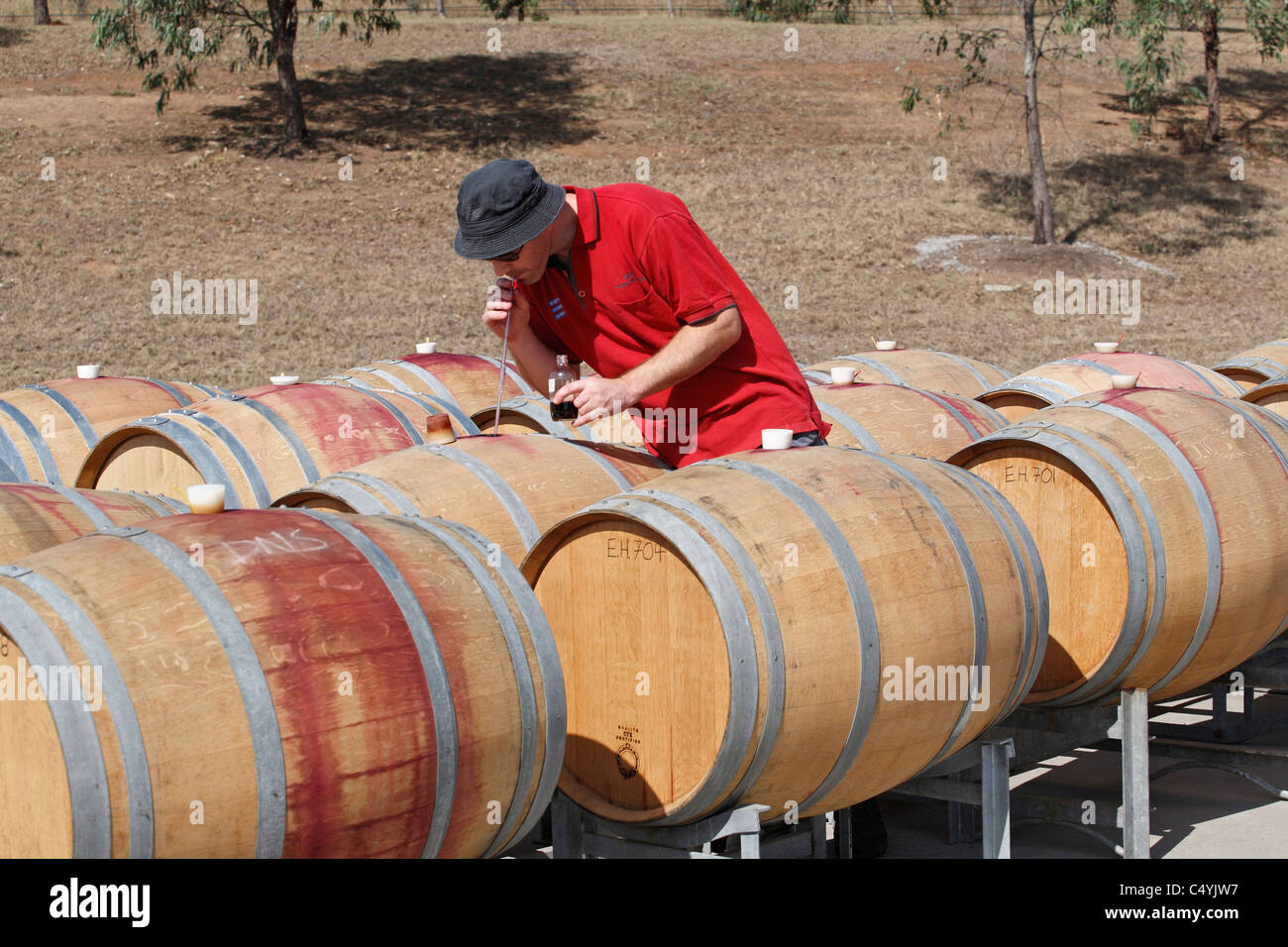 A Cellarmaster using a 'wine thief' to check the fermentation of red wine. Tempus Two winery, Hunter Valley, NSW, Australia. Stock Photo