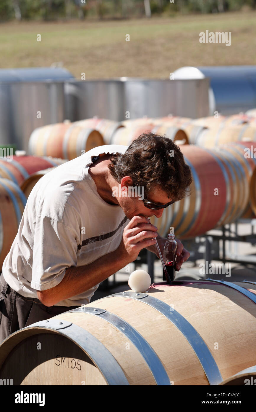 A Cellarmaster using a 'wine thief' to check the fermentation of red wine. Tempus Two winery, Hunter Valley, NSW, Australia. Stock Photo