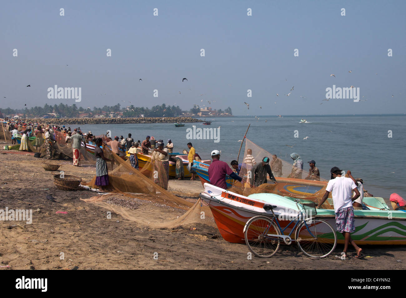 Panoramic view of fishermen and families cleaning and sorting the nets Negombo Sri Lanka Stock Photo