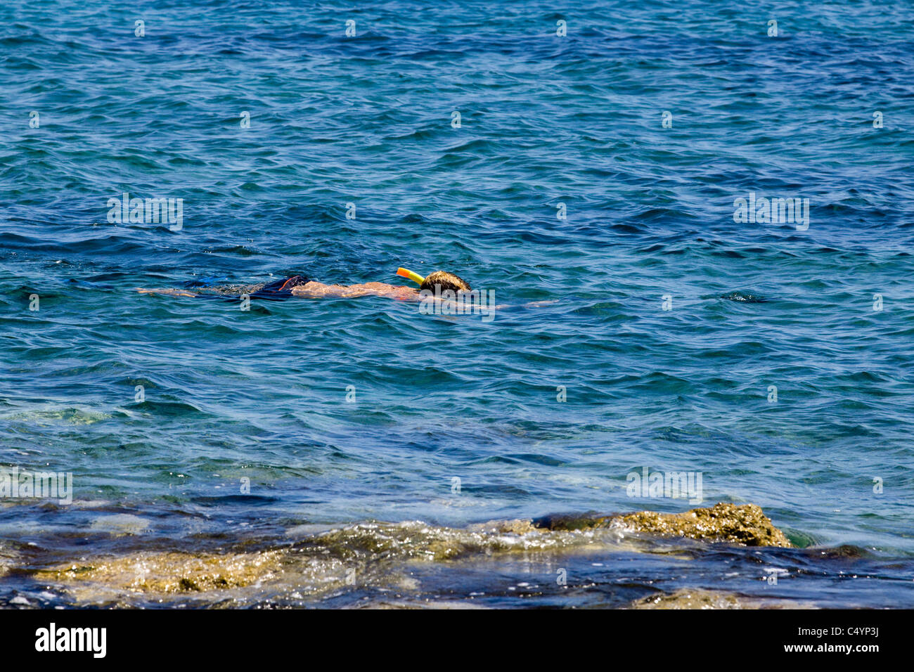 A Man Snorkeling on the Mediterranean sea in Pafos Cyprus Stock Photo