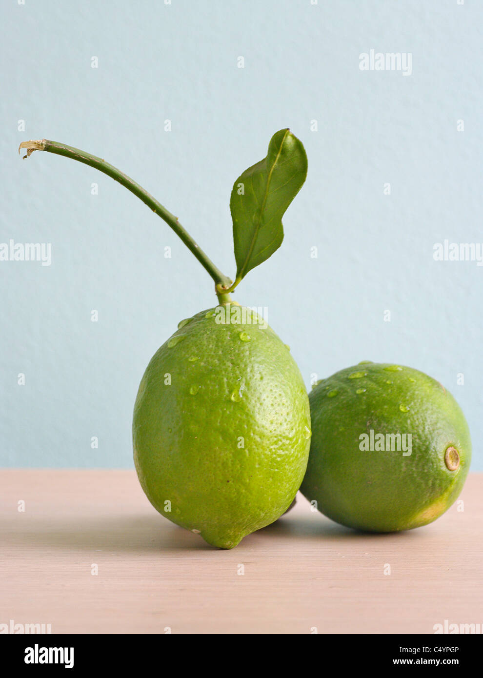 Bitter lime hi-res stock photography and images - Alamy
