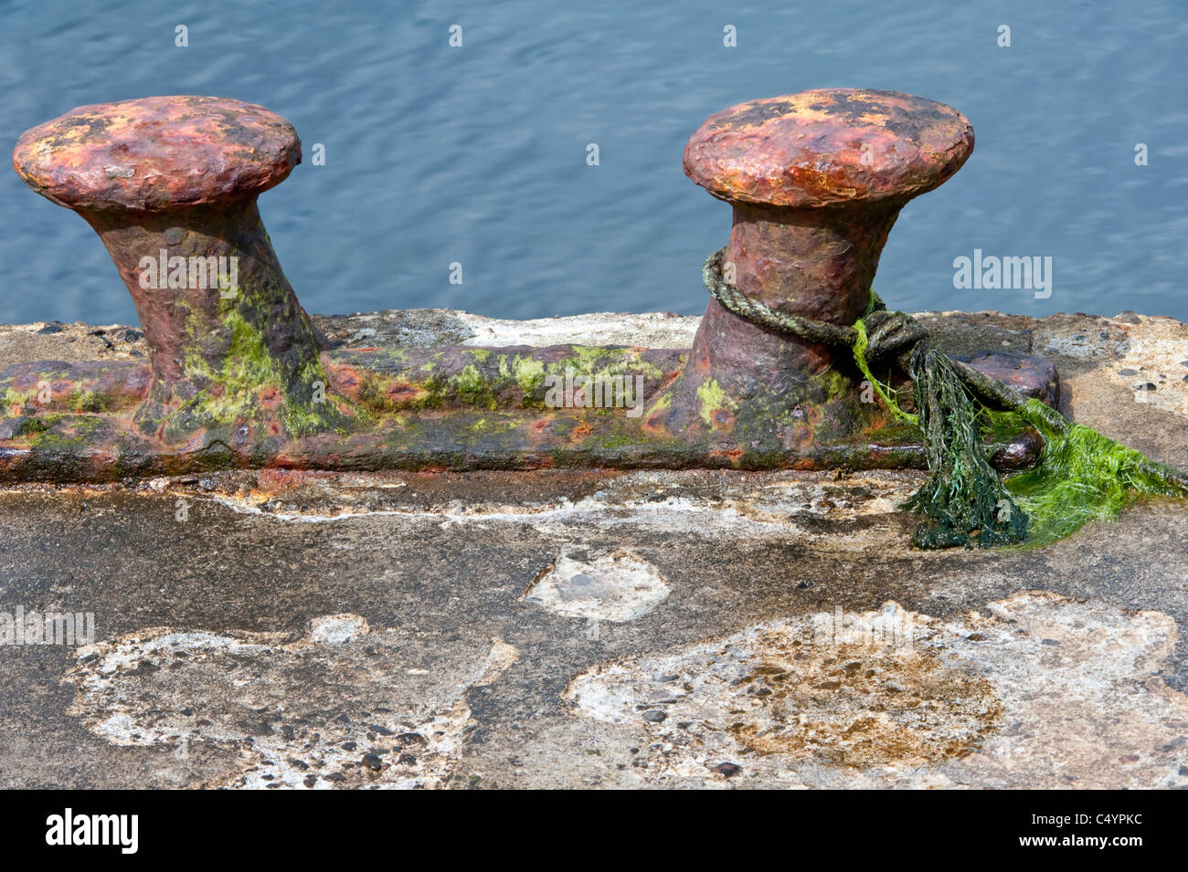 Mooring post with algae and string Shetland Subarctic Archipelago Scotland UK Europe Stock Photo