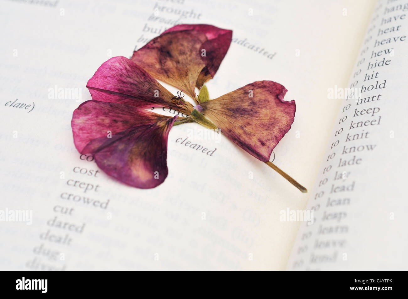 Dried Flower In A Book Stock Photo Alamy