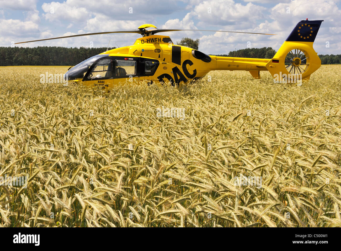 German ADAC Rescue Helicopter in a corn Field Stock Photo