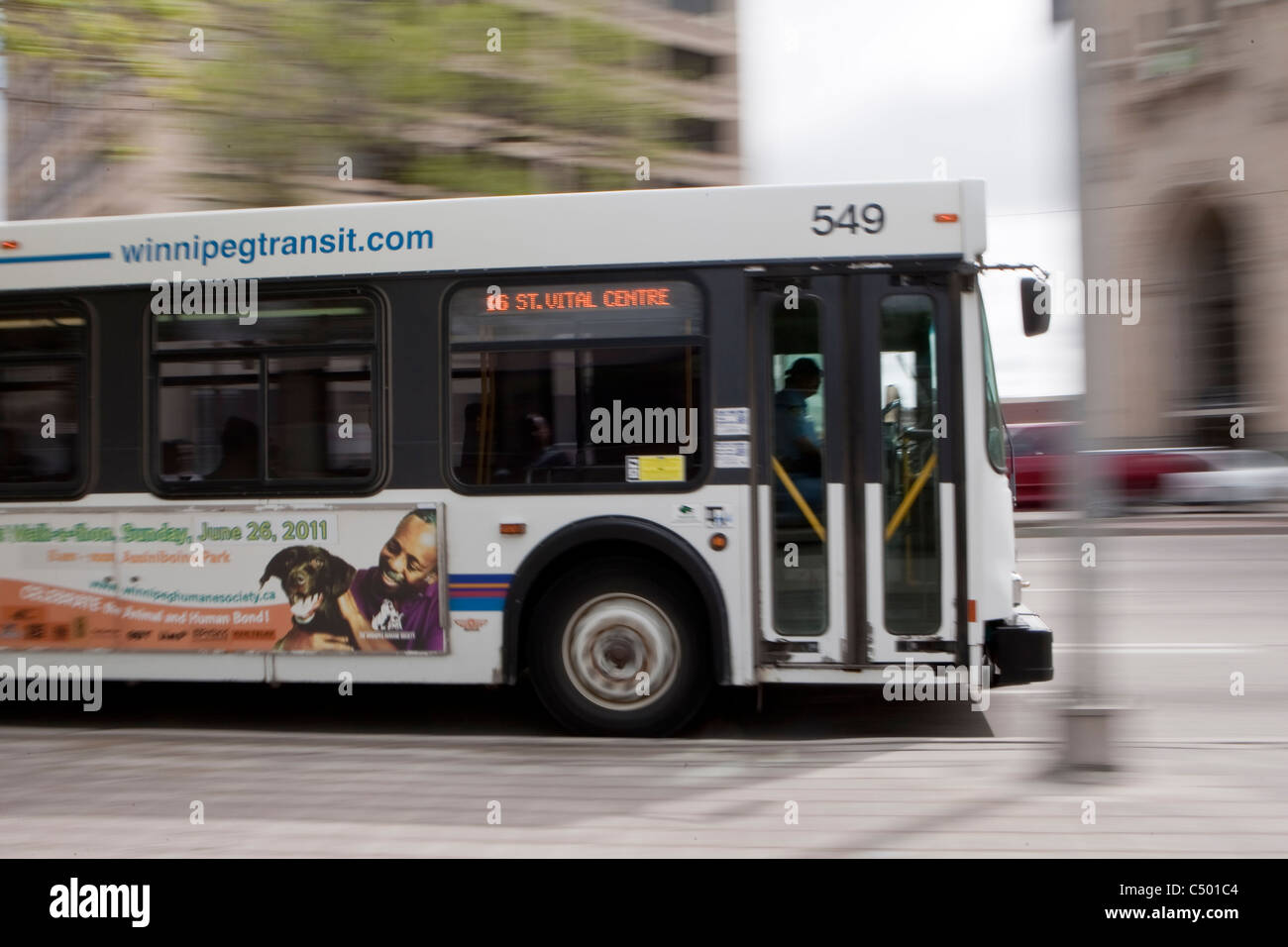 A Winnipeg transit bus is pictured in Winnipeg Monday May 23, 2011. Winnipeg Transit is the A Winnipeg transit bus is pictured in Winnipeg Monday May 23, 2011. Winnipeg Transit is the