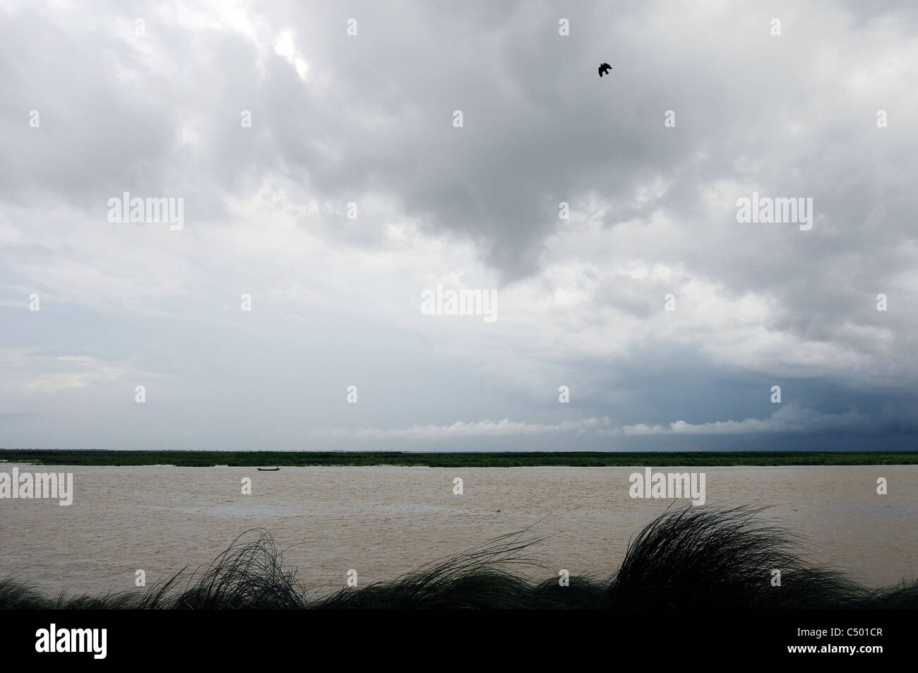Near the Ganges (Padma) River in Bangladesh Stock Photo