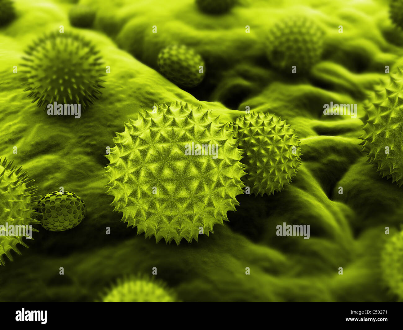 Pollen close up Stock Photo