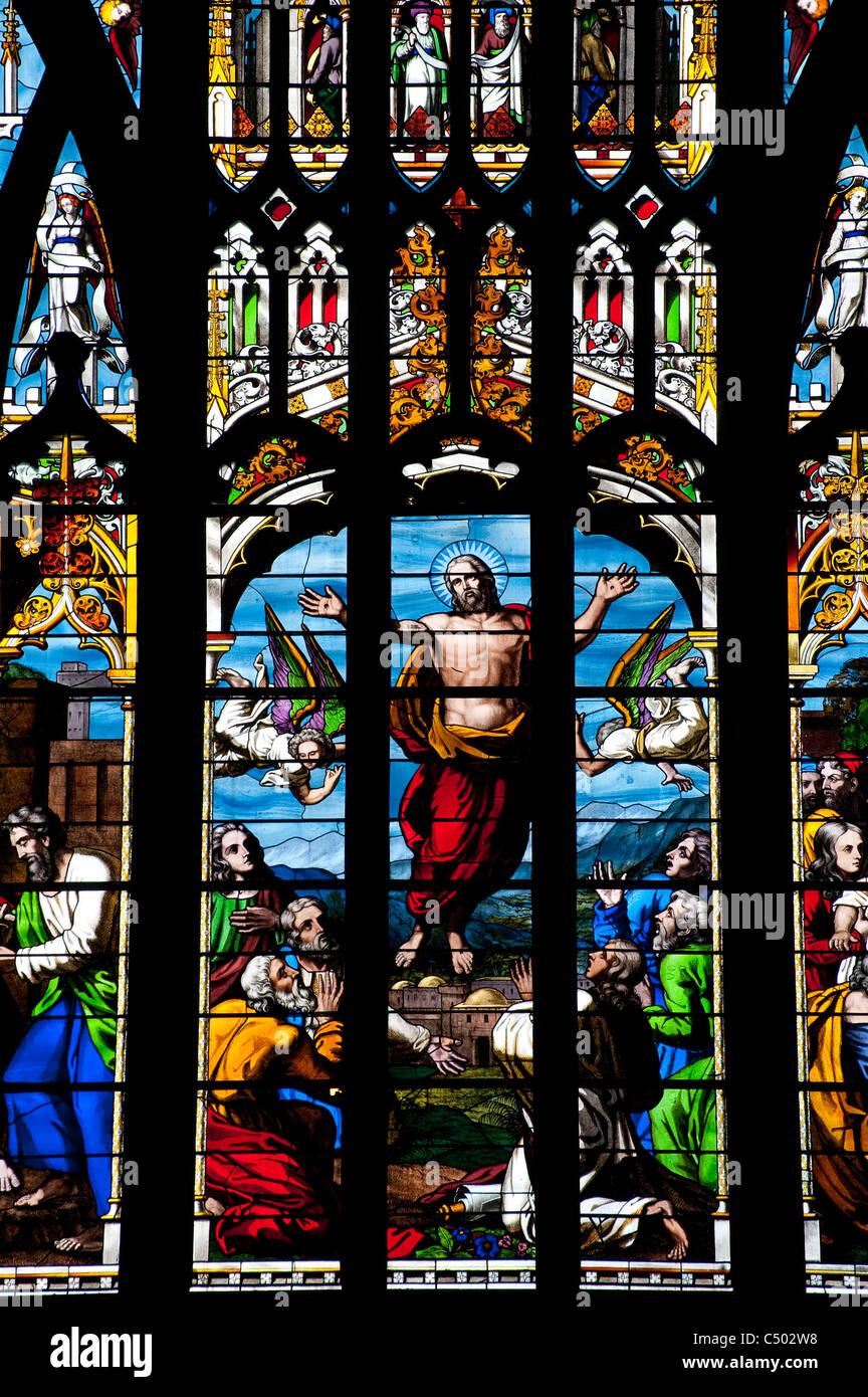 Stunning stained glass window in Norwich Cathedral, East Anglia, England Stock Photo Alamy