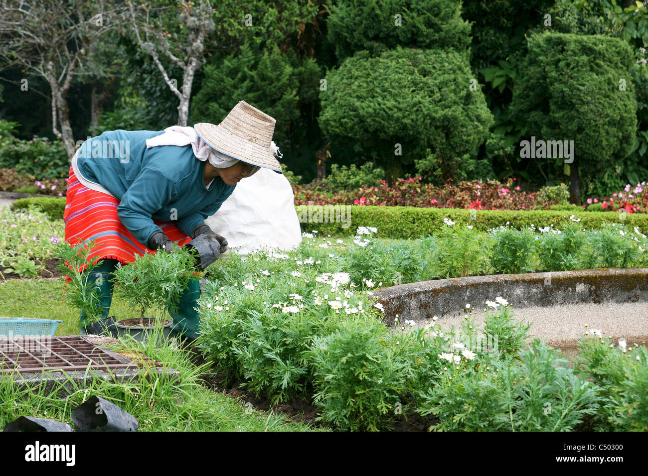 Thailand Thai gardener works in a park Stock Photo