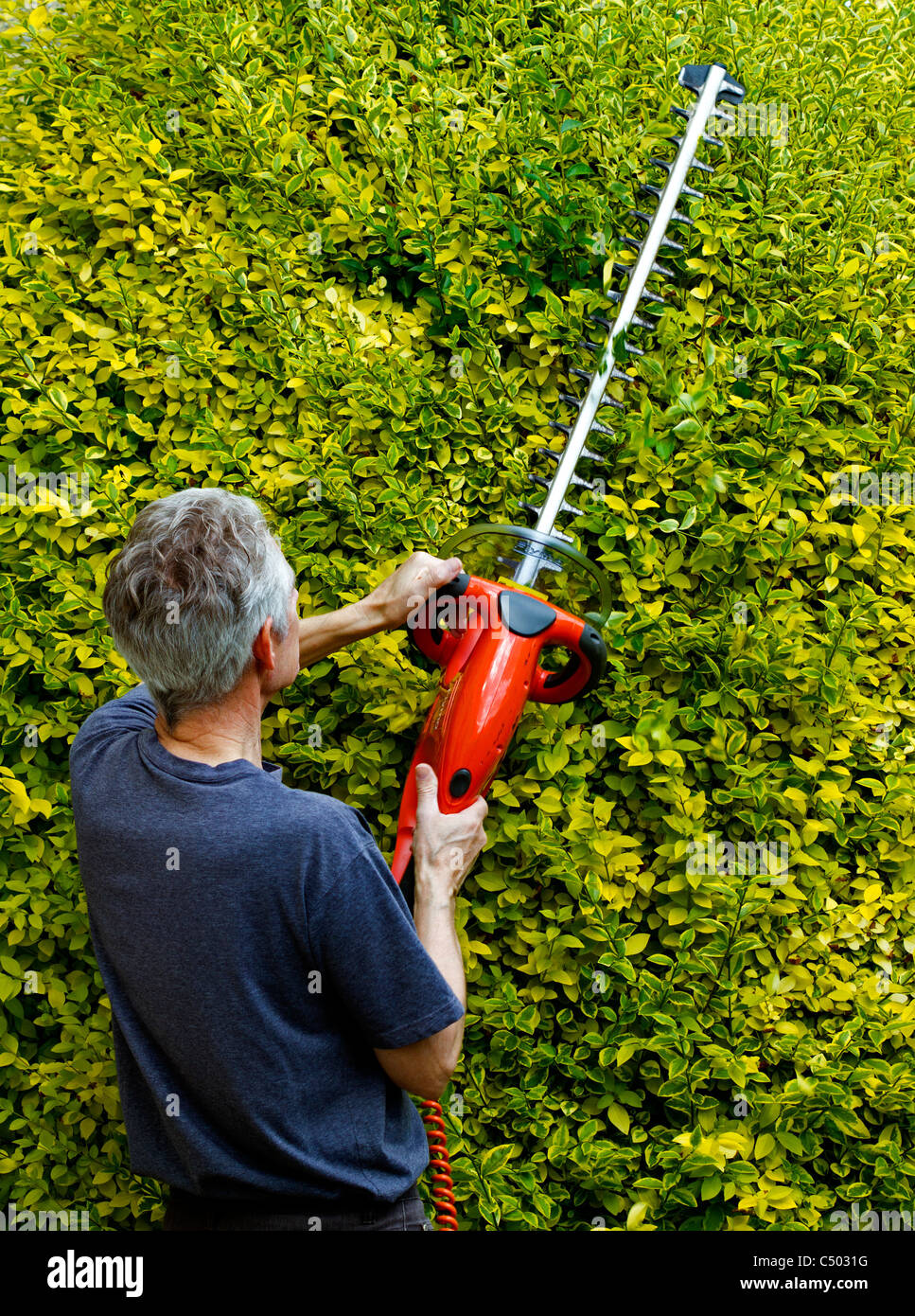 Man using hedge trimmer hires stock photography and images Alamy