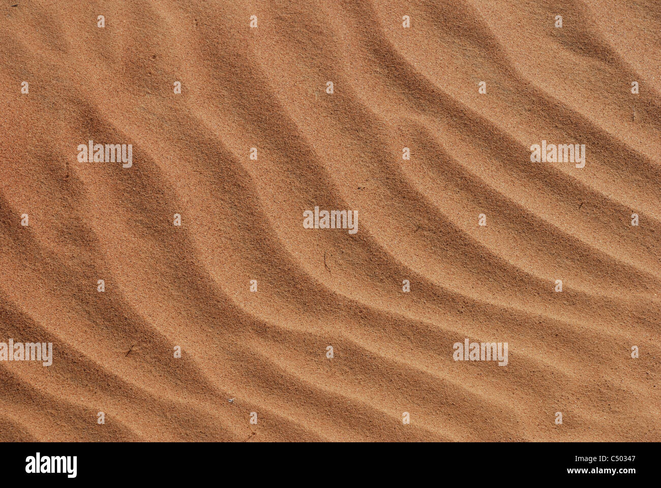 Desert Stock Photo
