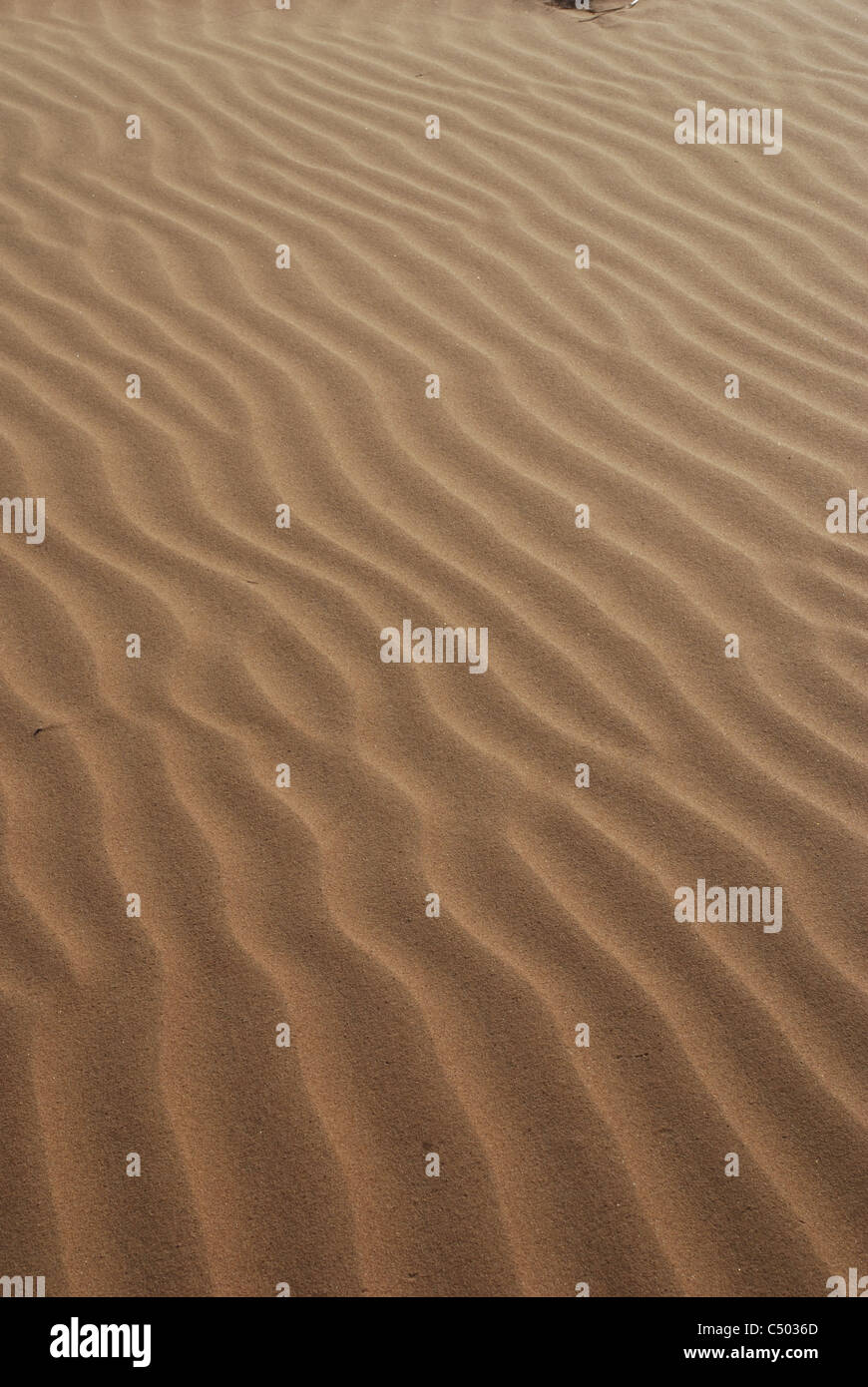 Desert Stock Photo