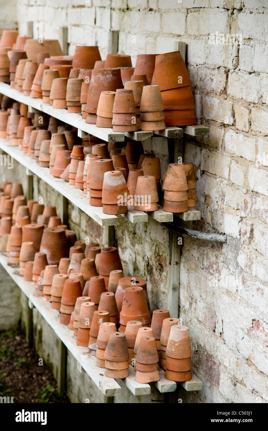 Flowerpots on shelves on a potting shed wall Stock Photo - Alamy