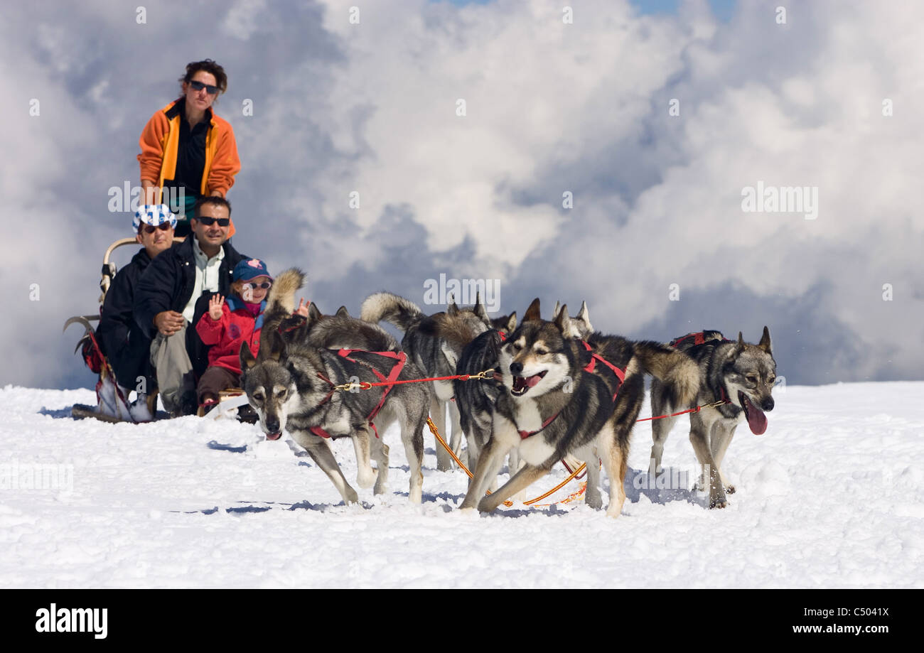 A family are pulled along on a sled by a willing pack of huskies. Glacier 3000. Gstaad, Switzerland. Stock Photo