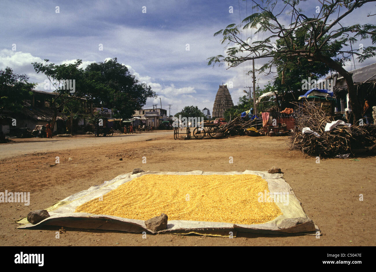 Rural tamil nadu village scene hi-res stock photography and images - Alamy