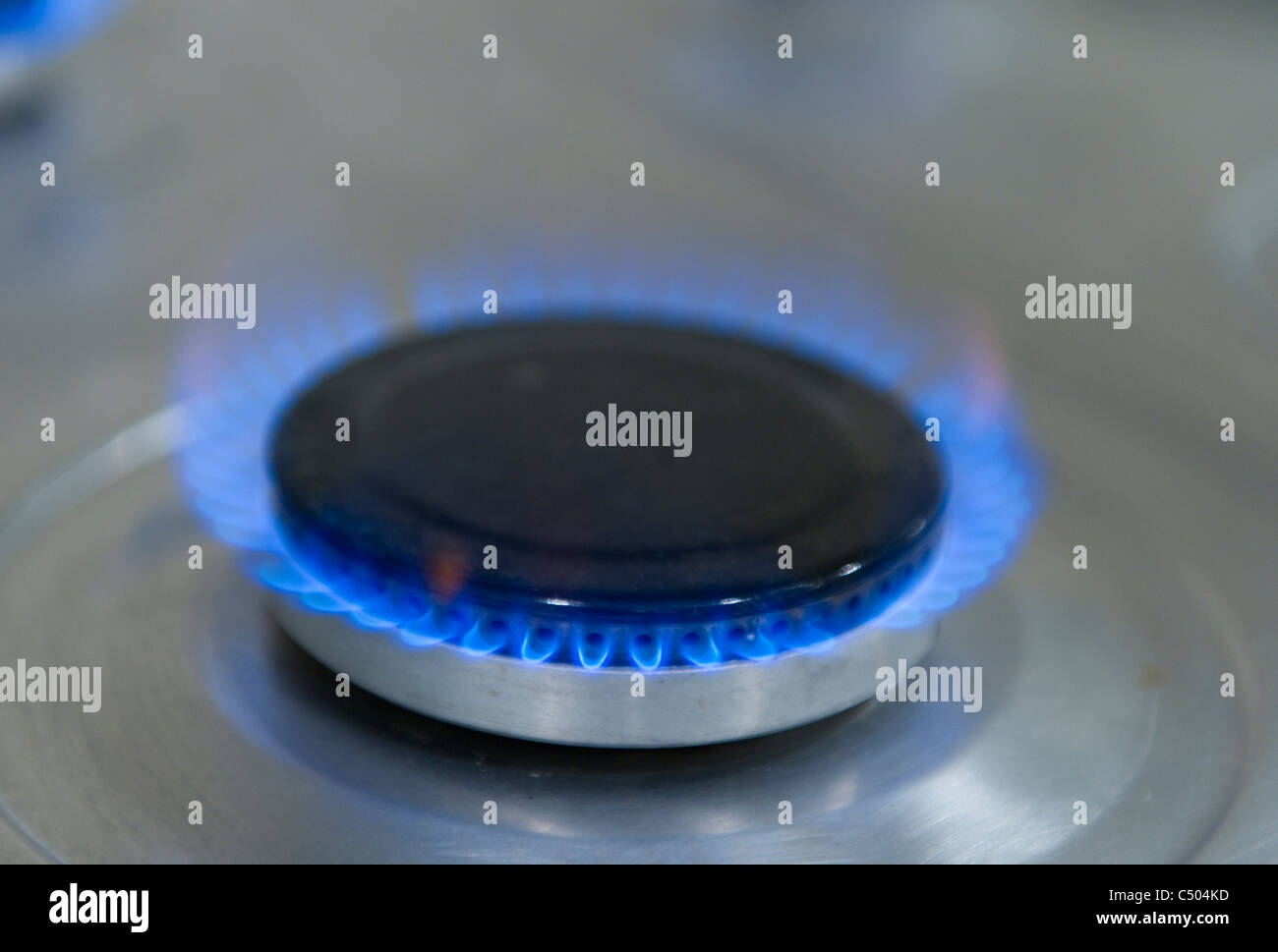 gas flame stove hob Stock Photo Alamy